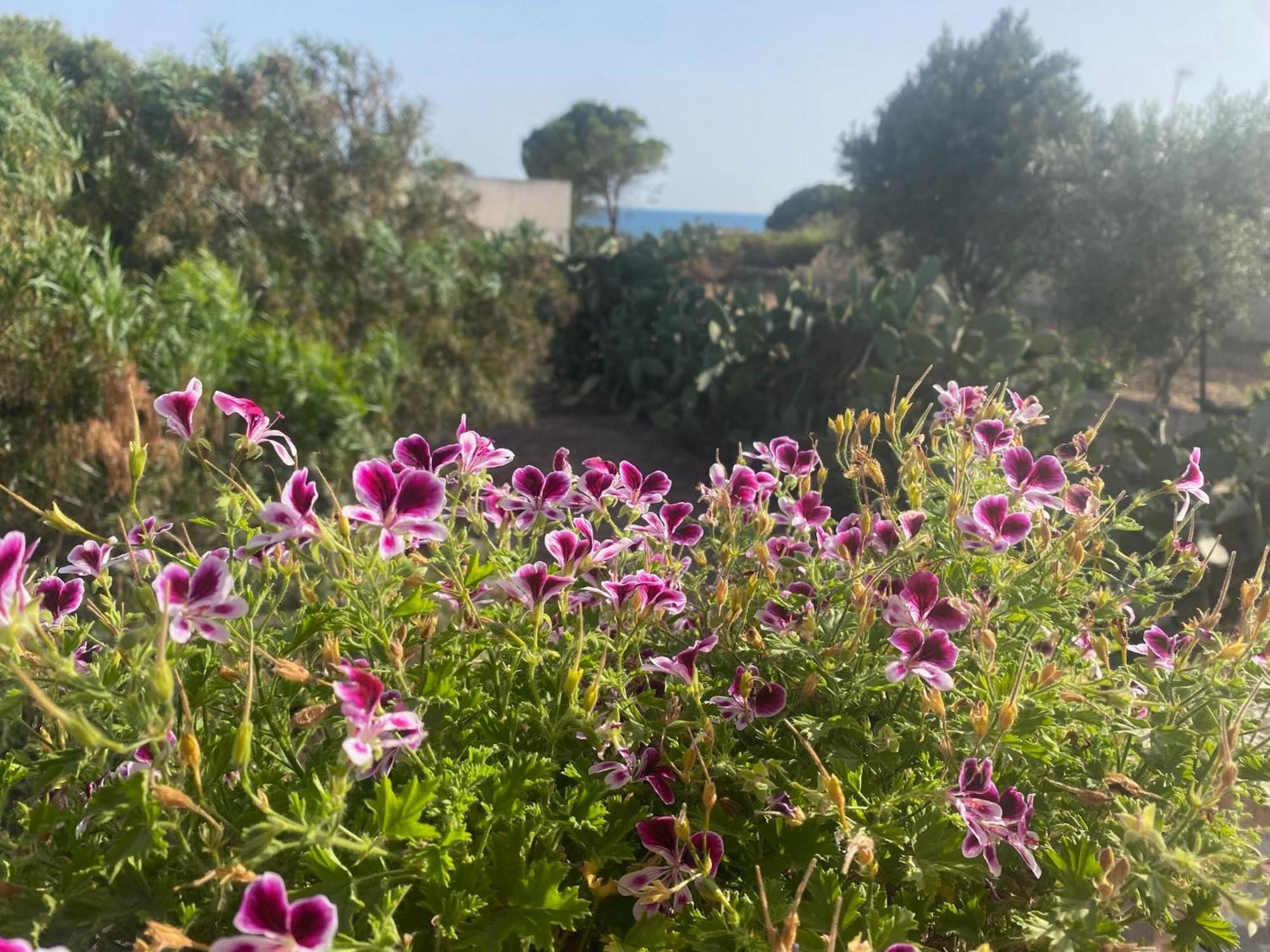 Ificumori, Campagna Ammare Villa Marina di Modica Kültér fotó