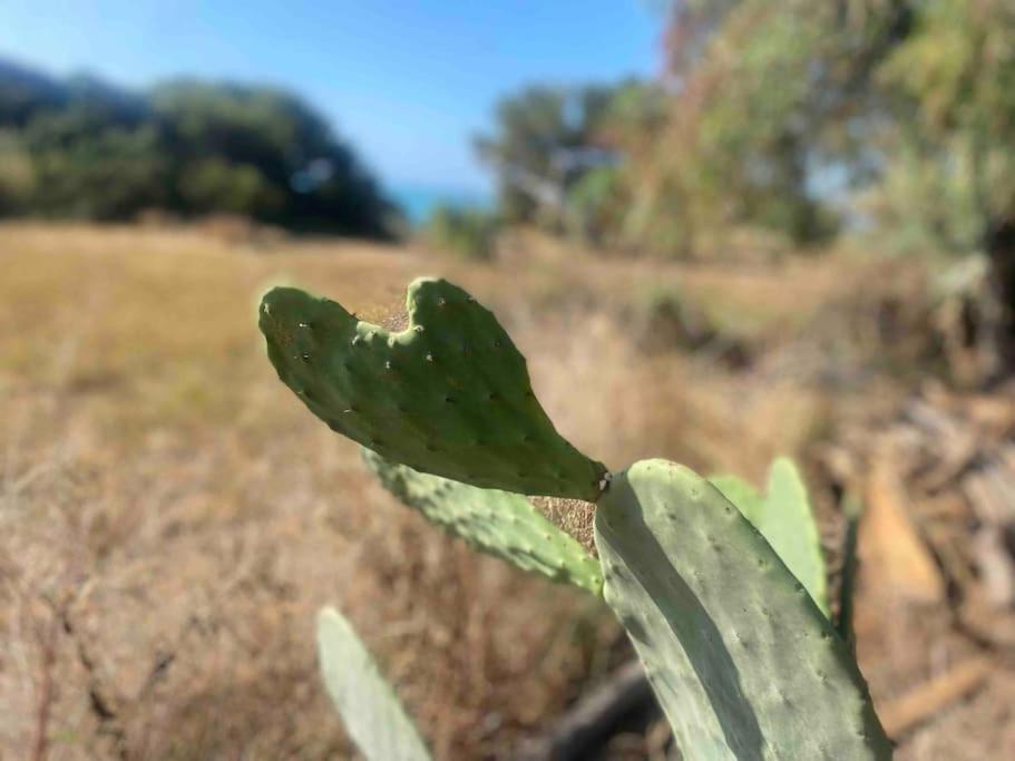 Ificumori, Campagna Ammare Villa Marina di Modica Kültér fotó